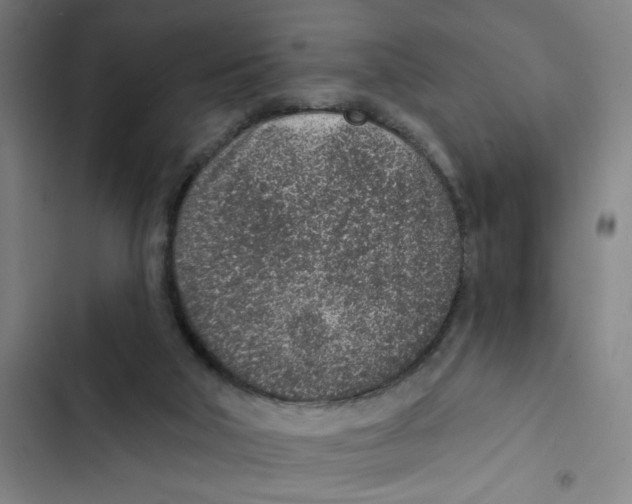 X0000102360018200808291236