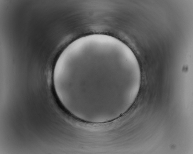 X0000102360019200808291236