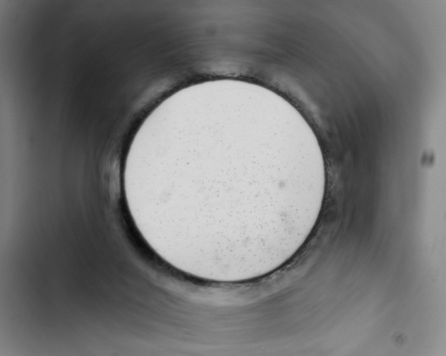 X0000102360020200808291236