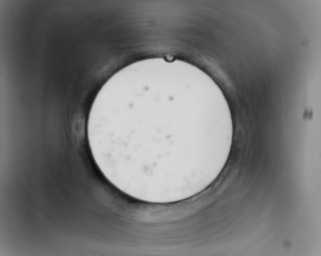 X0000102360021200808291236