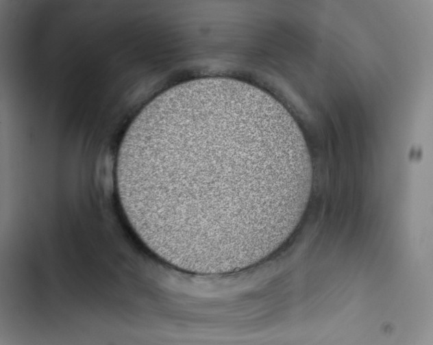 X0000102360022200808291236