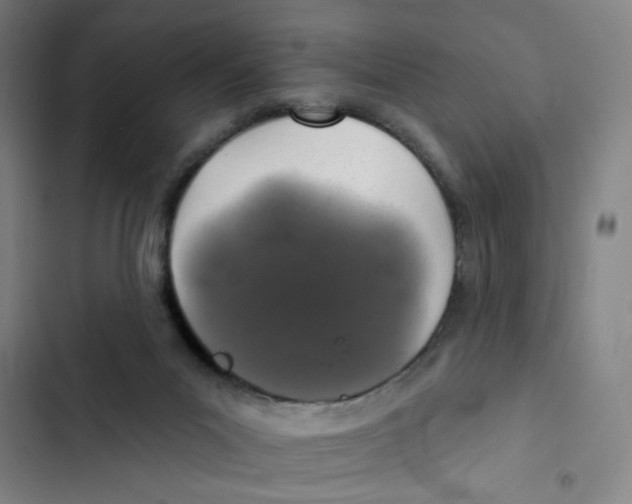 X0000102360023200808291236