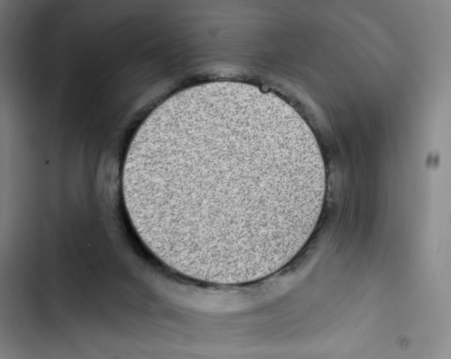 X0000102360024200808291236