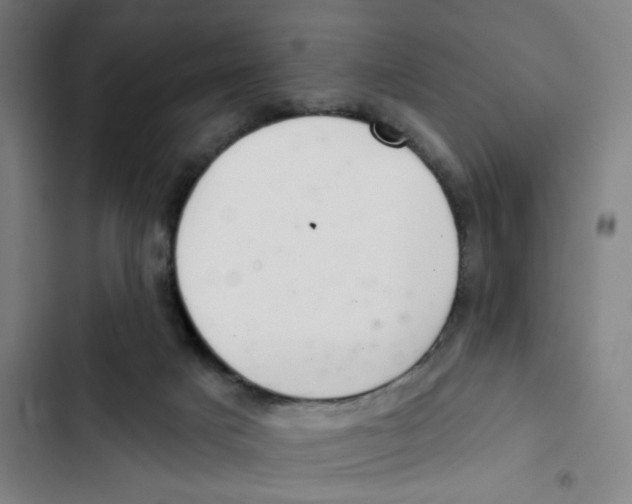 X0000102360025200808291236