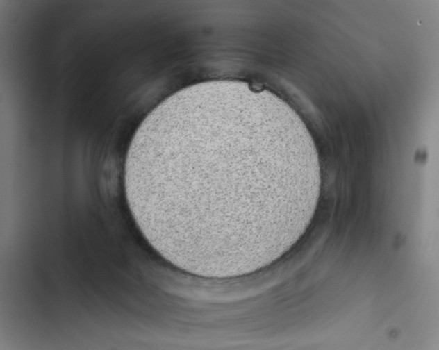 X0000102360026200808291236