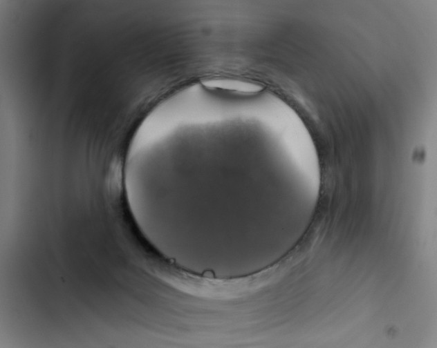 X0000102360027200808291236