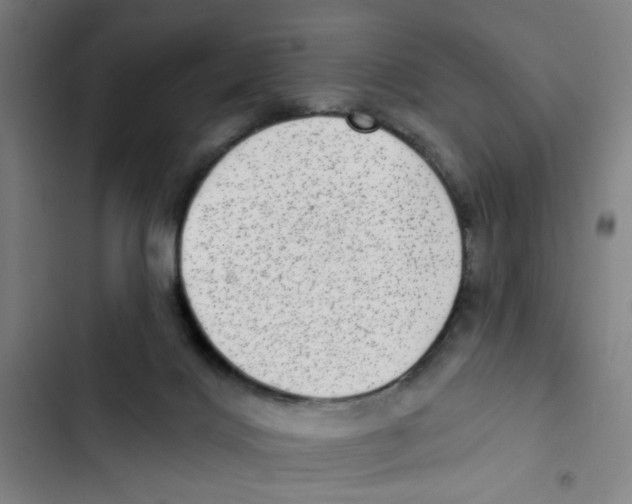 X0000102360028200808291236
