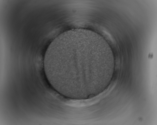 X0000102360029200808291236