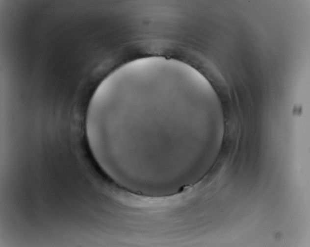 X0000102360031200808291236