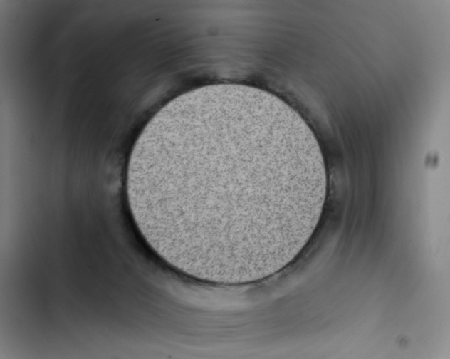 X0000102360032200808291236