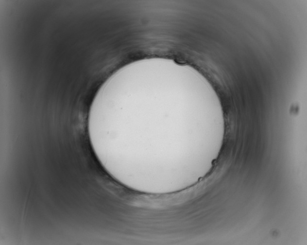 X0000102360033200808291236