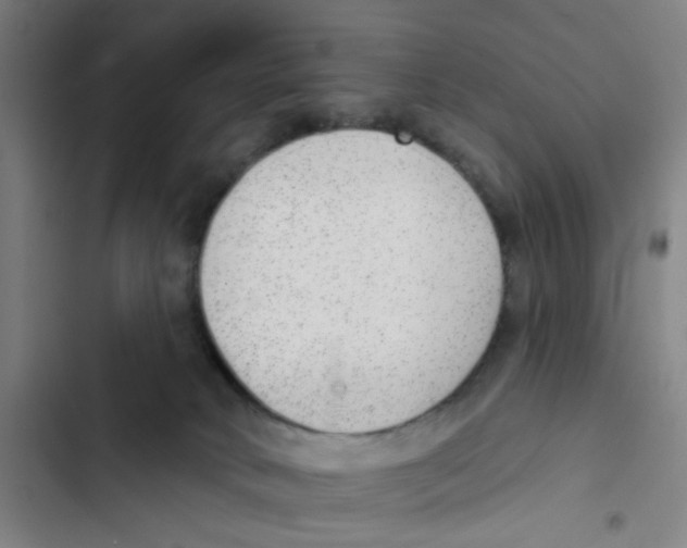 X0000102360034200808291236