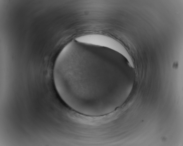X0000102360035200808291236