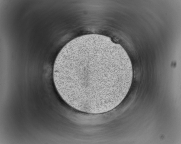 X0000102360036200808291235