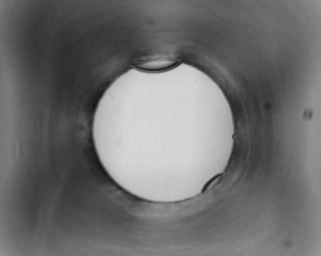 X0000102360037200808291235