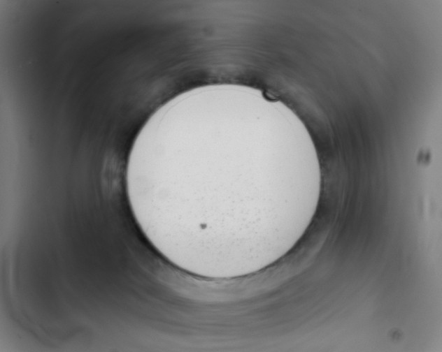 X0000102360038200808291235