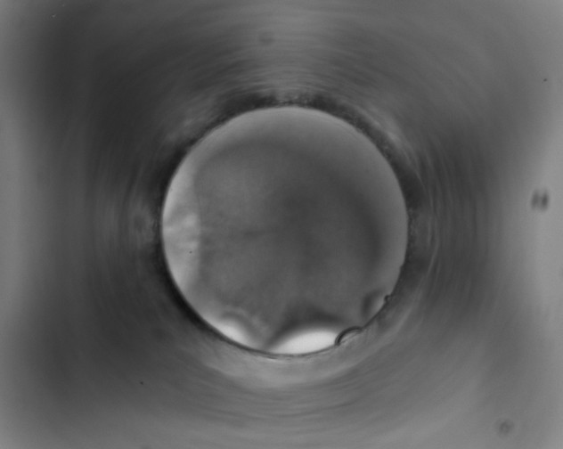 X0000102360039200808291235