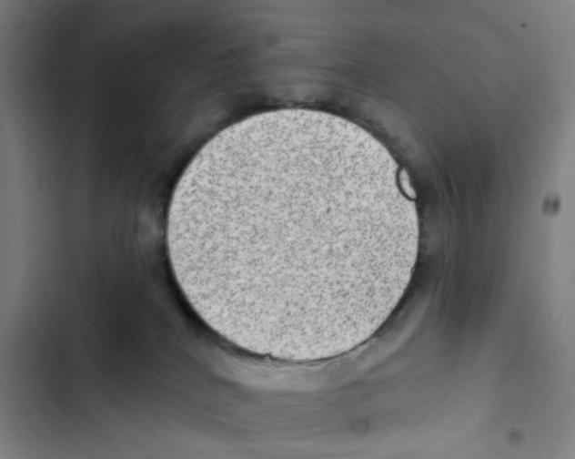 X0000102360040200808291235