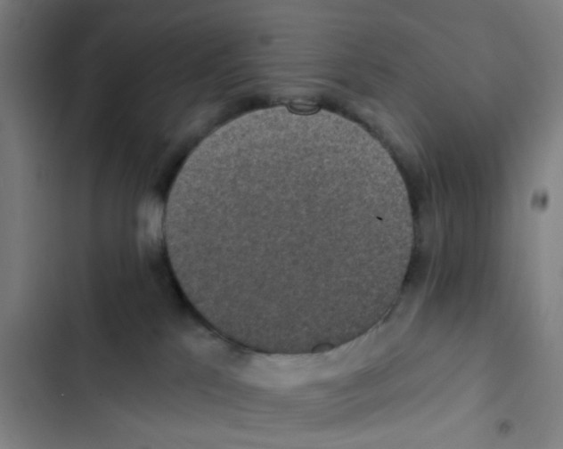 X0000102360041200808291235