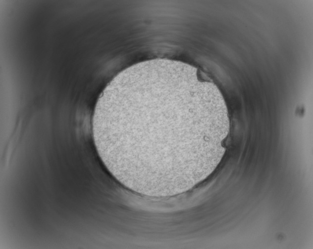 X0000102360042200808291235