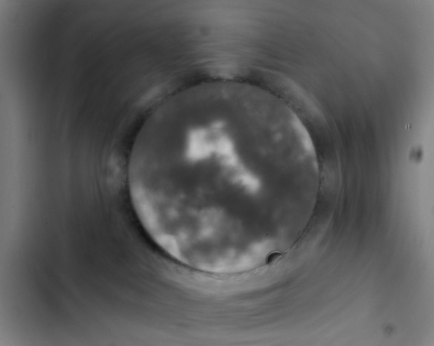 X0000102360043200808291235