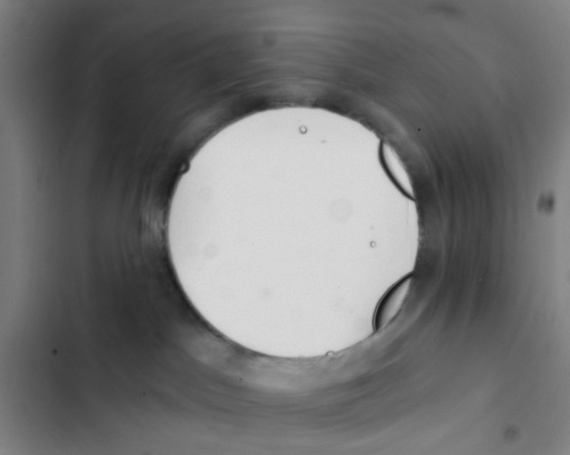 X0000102360045200808291235