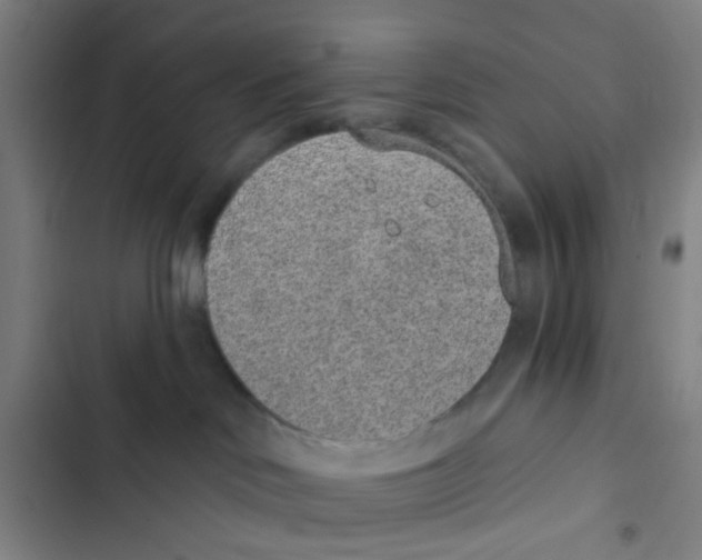 X0000102360046200808291235
