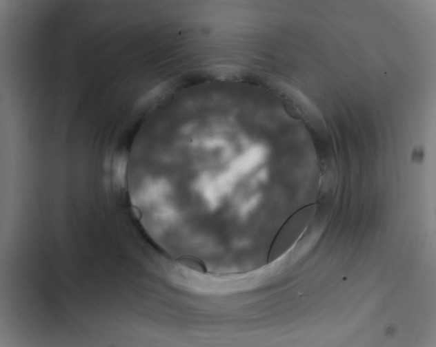 X0000102360047200808291235