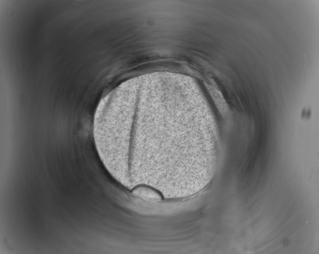 X0000102360048200808291235