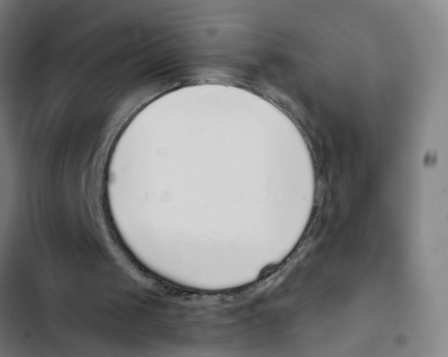 X0000102360049200808291235