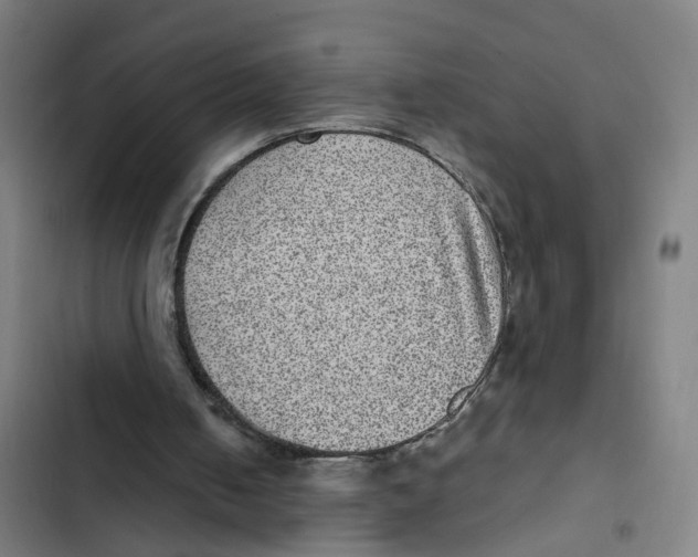X0000102360050200808291235