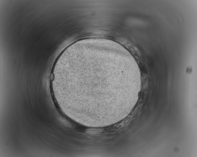 X0000102360051200808291235