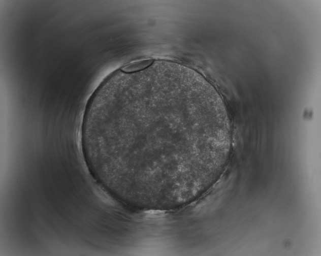 X0000102360052200808291235