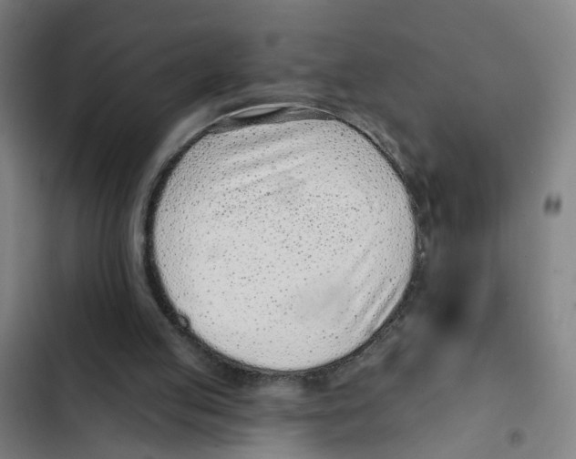 X0000102360053200808291235