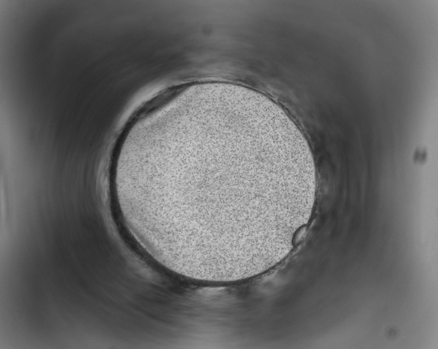 X0000102360054200808291235