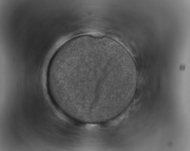 X0000102360055200808291235