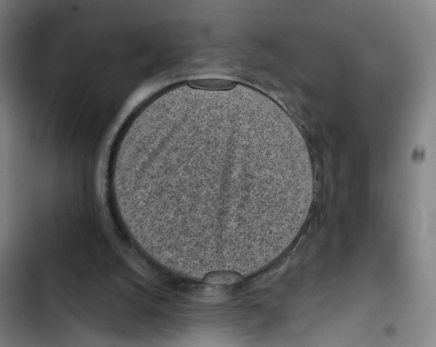 X0000102360056200808291235