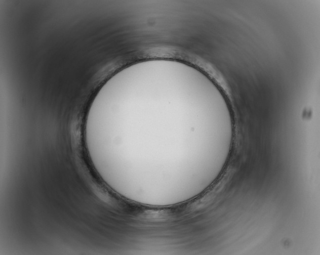 X0000102360057200808291235