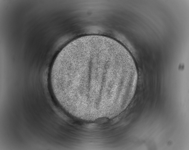 X0000102360058200808291235