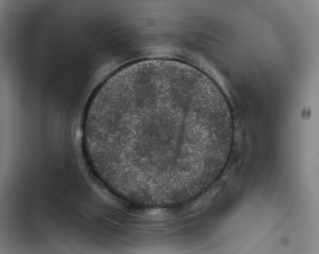 X0000102360059200808291235
