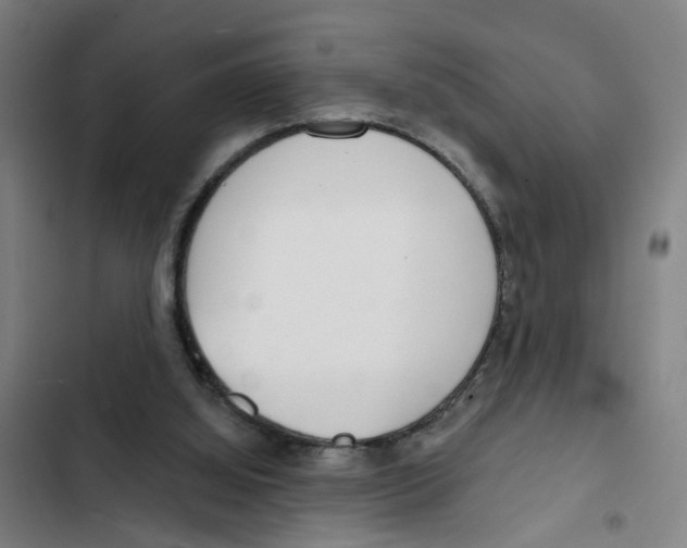 X0000102360060200808291235