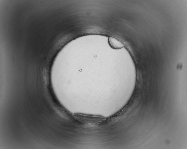 X0000102360061200808291235