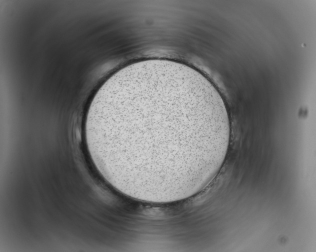 X0000102360062200808291235