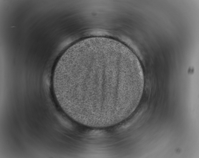 X0000102360063200808291235