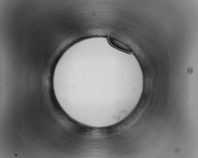 X0000102360064200808291235