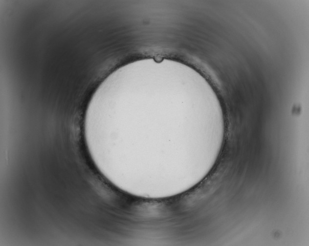 X0000102360065200808291235