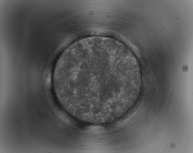 X0000102360067200808291235
