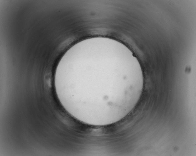 X0000102360068200808291235