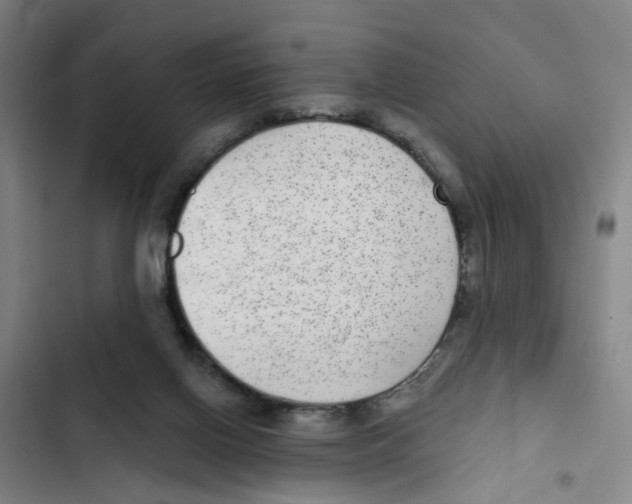 X0000102360070200808291235