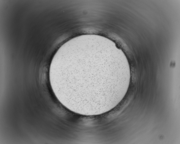 X0000102360071200808291235